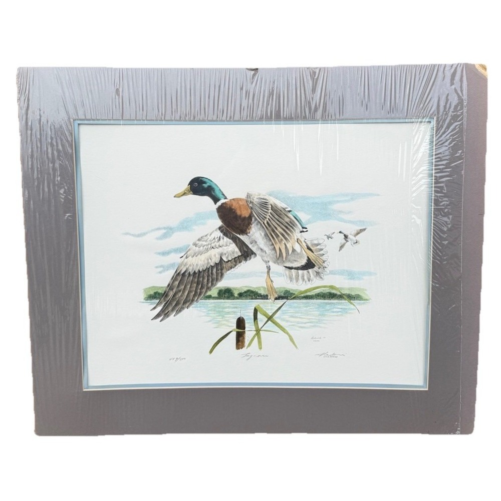 Don Radovich "Lay Over" Signed Print Color Wildlife Art VTG 16" X 20"